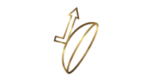 Smartshield icon