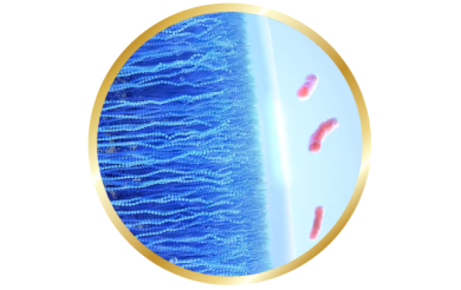 Image of celligent technologie