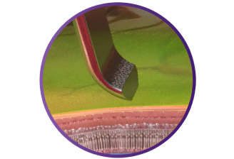Close-up van de SHARKSKIN ILM Forceps die de gekantelde punt toont.