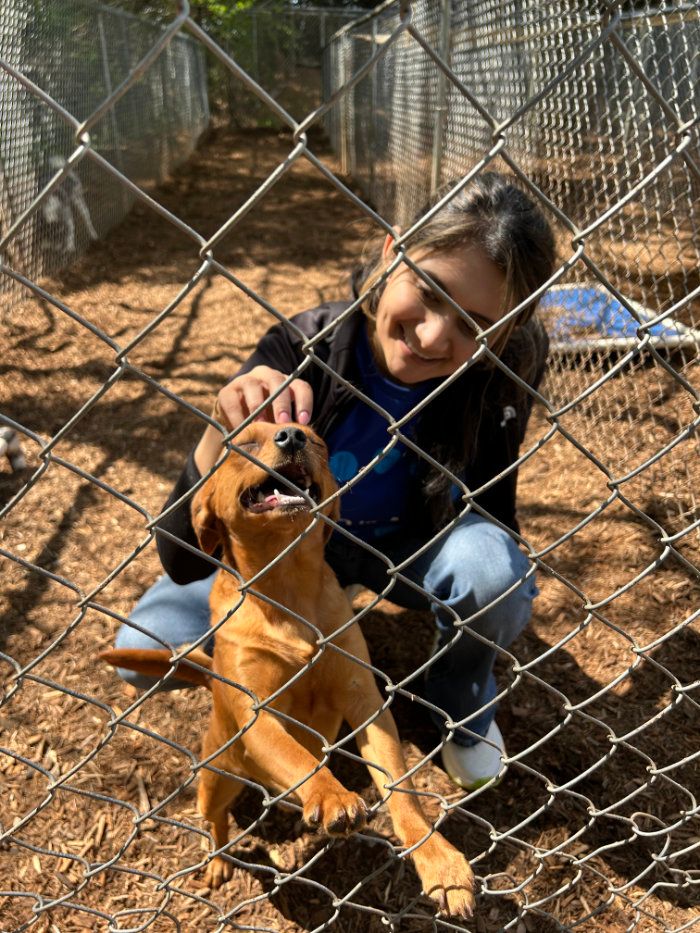  Woman petting happy puppy in a kennel