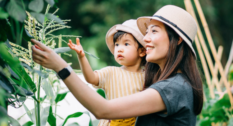 A woman is holding her toddler in a lush garden, examining a corn stalk. Both are wearing matching straw sun hats. The mother is pointing at the corn, and the child is looking up with curiosity. The background is filled with green plants and foliage.
