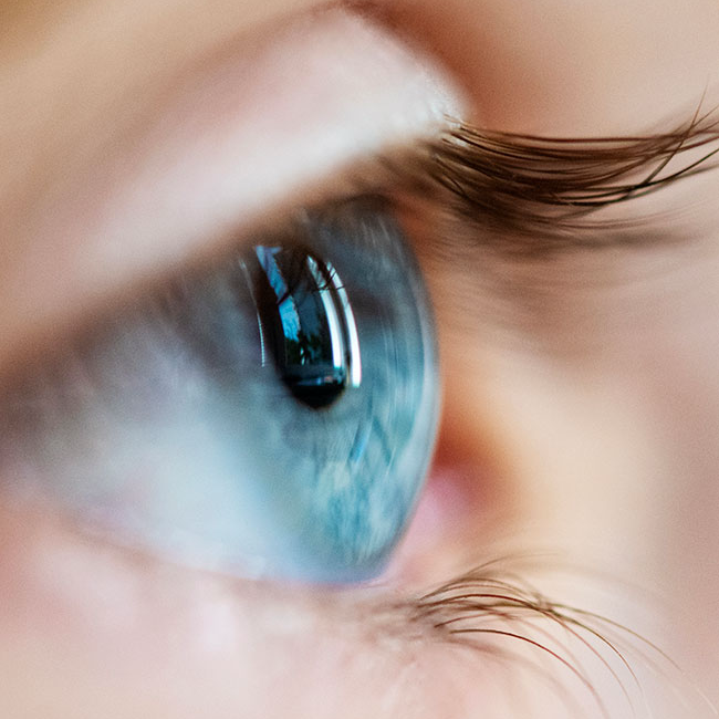 Makroaufnahme eines blauen menschlichen Auges mit sichtbaren Wimpern und detaillierter Spiegelung auf der Hornhaut.