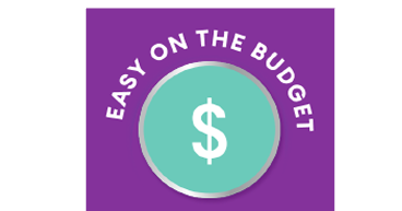 Easy on the budget icon featuring a dollar sign